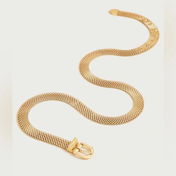 J. Crew Gold Watchband chain belt - Picture 3 of 8